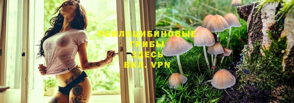 круглые Аркадак